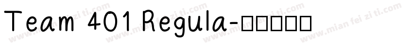 Team 401 Regula字体转换